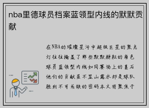 nba里德球员档案蓝领型内线的默默贡献